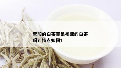 管阳的白茶算是福鼎的白茶吗？特点如何？