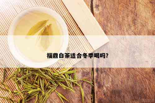 福鼎白茶适合冬季喝吗？