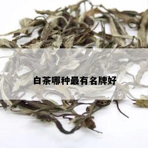 白茶哪种最有名牌好