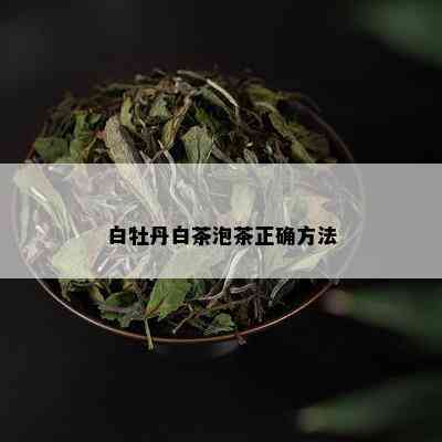 白牡丹白茶泡茶正确方法