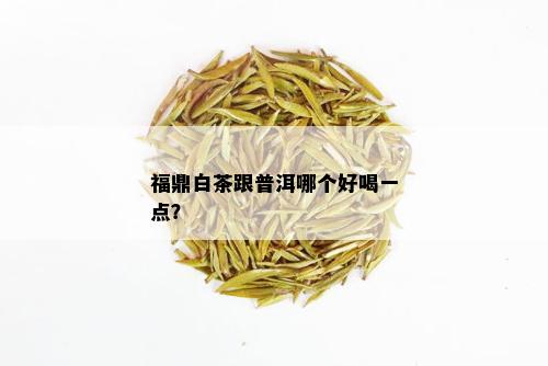 福鼎白茶跟普洱哪个好喝一点？