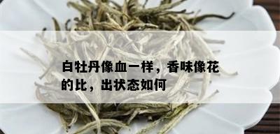 白牡丹像血一样，香味像花的比，出状态如何