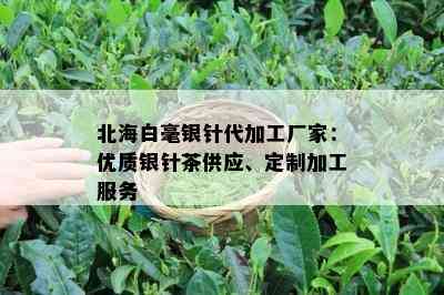 北海白毫银针代加工厂家：优质银针茶供应、定制加工服务