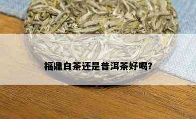 福鼎白茶还是普洱茶好喝？