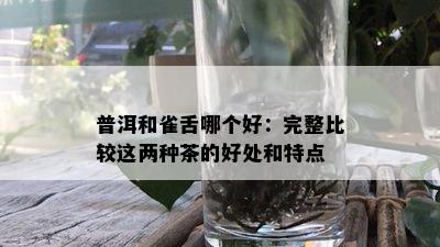 普洱和雀舌哪个好：完整比较这两种茶的好处和特点