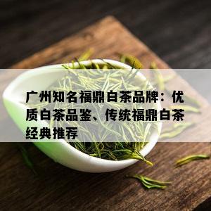 广州知名福鼎白茶品牌：优质白茶品鉴、传统福鼎白茶经典推荐