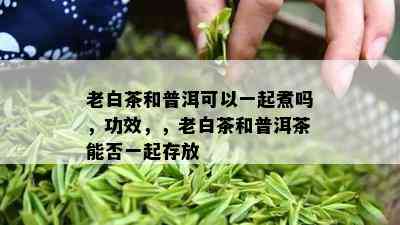 老白茶和普洱可以一起煮吗，功效，，老白茶和普洱茶能否一起存放