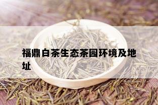 福鼎白茶生态茶园环境及地址