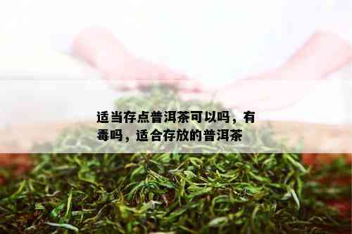 适当存点普洱茶可以吗，有吗，适合存放的普洱茶