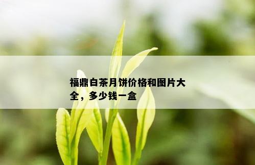 福鼎白茶月饼价格和图片大全，多少钱一盒