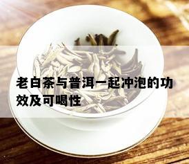 老白茶与普洱一起冲泡的功效及可喝性