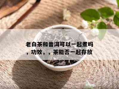 老白茶和普洱可以一起煮吗，功效，，茶能否一起存放