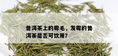 普洱茶上的霉毛，发霉的普洱茶是否可饮用？