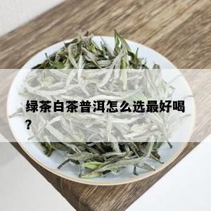 绿茶白茶普洱怎么选更好喝？