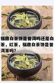 福鼎白茶饼是普洱吗还是白茶，红茶，福鼎白茶饼是普洱茶吗？