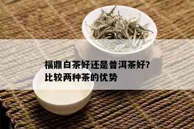 福鼎白茶好还是普洱茶好？比较两种茶的优势