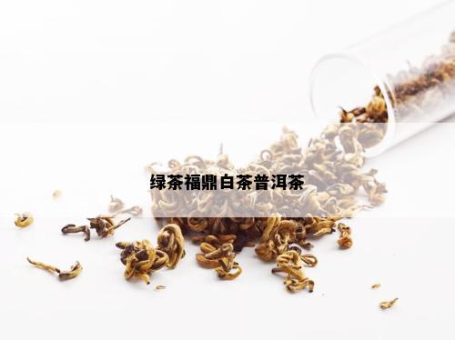 绿茶福鼎白茶普洱茶