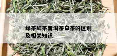 绿茶红茶普洱茶白茶的区别及相关知识