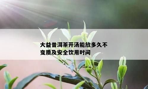 大益普洱茶开汤能放多久不变质及安全饮用时间