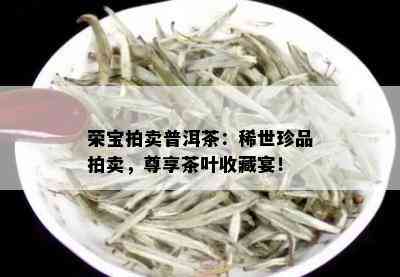 荣宝拍卖普洱茶：稀世珍品拍卖，尊享茶叶收藏宴！