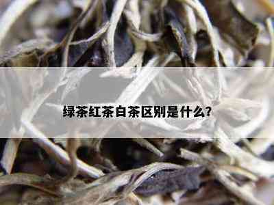 绿茶红茶白茶区别是什么？