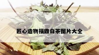 匠心造物福鼎白茶图片大全