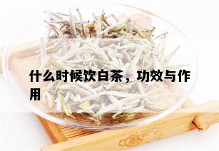 什么时候饮白茶，功效与作用