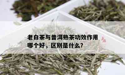 老白茶与普洱熟茶功效作用哪个好，区别是什么？