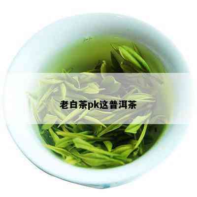 老白茶pk这普洱茶