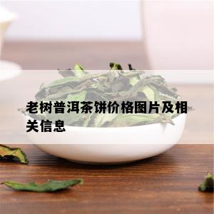 老树普洱茶饼价格图片及相关信息