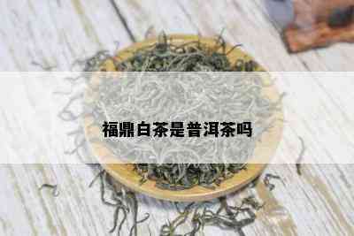 福鼎白茶是普洱茶吗