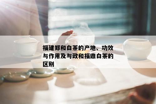 福建郑和白茶的产地、功效与作用及与政和福鼎白茶的区别