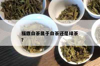 福鼎白茶属于白茶还是绿茶？