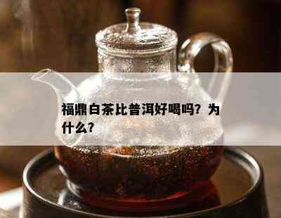 福鼎白茶比普洱好喝吗？为什么？