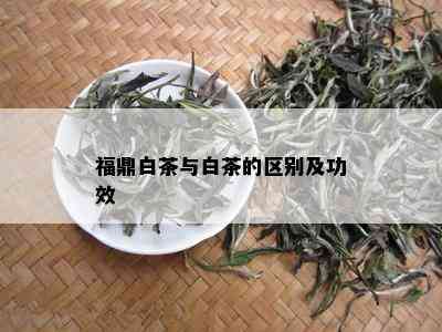 福鼎白茶与白茶的区别及功效