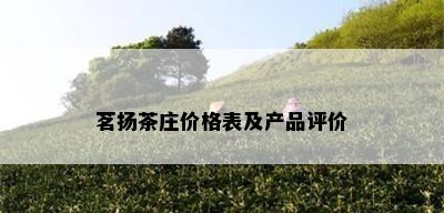 茗扬茶庄价格表及产品评价