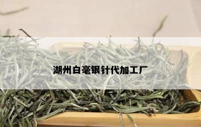 湖州白毫银针代加工厂