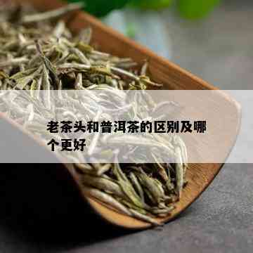 老茶头和普洱茶的区别及哪个更好