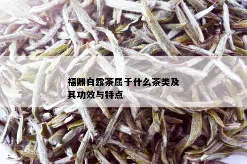 福鼎白露茶属于什么茶类及其功效与特点