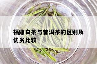 福鼎白茶与普洱茶的区别及优劣比较