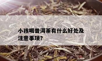 小孩喝普洱茶有什么好处及注意事项?