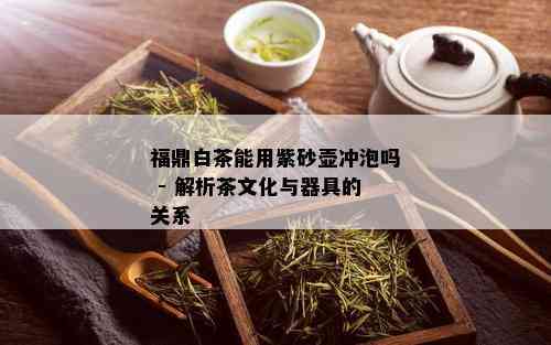 福鼎白茶能用紫砂壶冲泡吗 - 解析茶文化与器具的关系