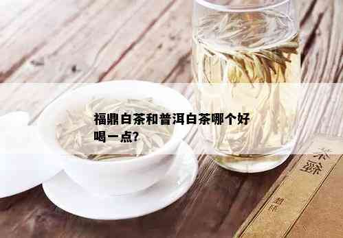 福鼎白茶和普洱白茶哪个好喝一点？