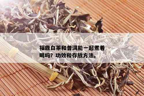 福鼎白茶和普洱能一起煮着喝吗？功效和存放方法。