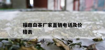 福鼎白茶厂家直销电话及价格表