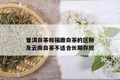 普洱白茶和福鼎白茶的区别及云南白茶不适合长期存放