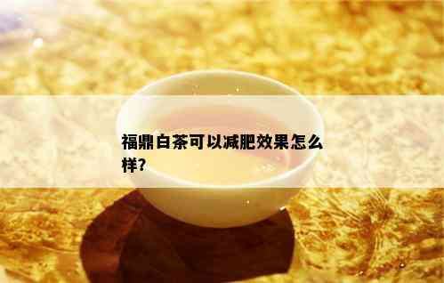 福鼎白茶可以减肥效果怎么样？