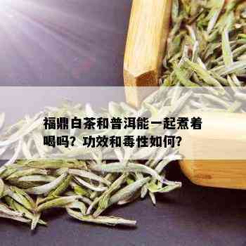 福鼎白茶和普洱能一起煮着喝吗？功效和性如何？