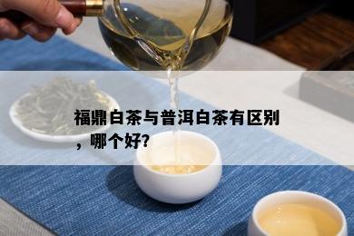 福鼎白茶与普洱白茶有区别，哪个好？