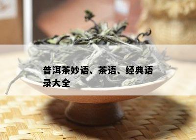 普洱茶妙语、茶语、经典语录大全